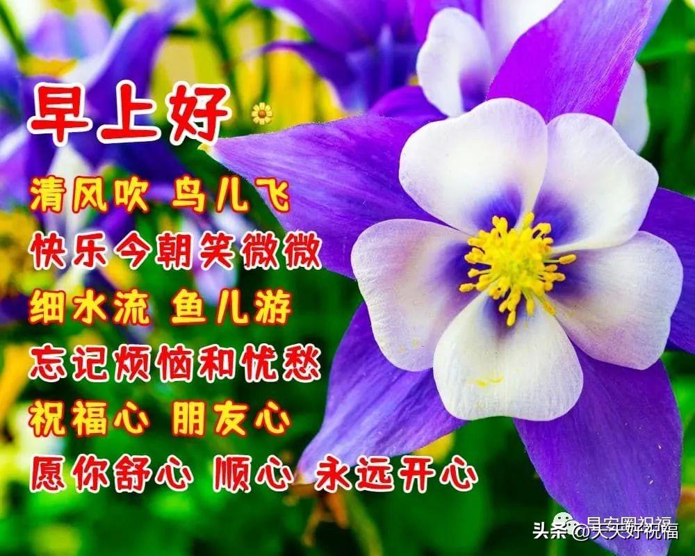精选早安暖心祝福语创意唯美图片带字，微信早上好给亲友问候语录(图4)
