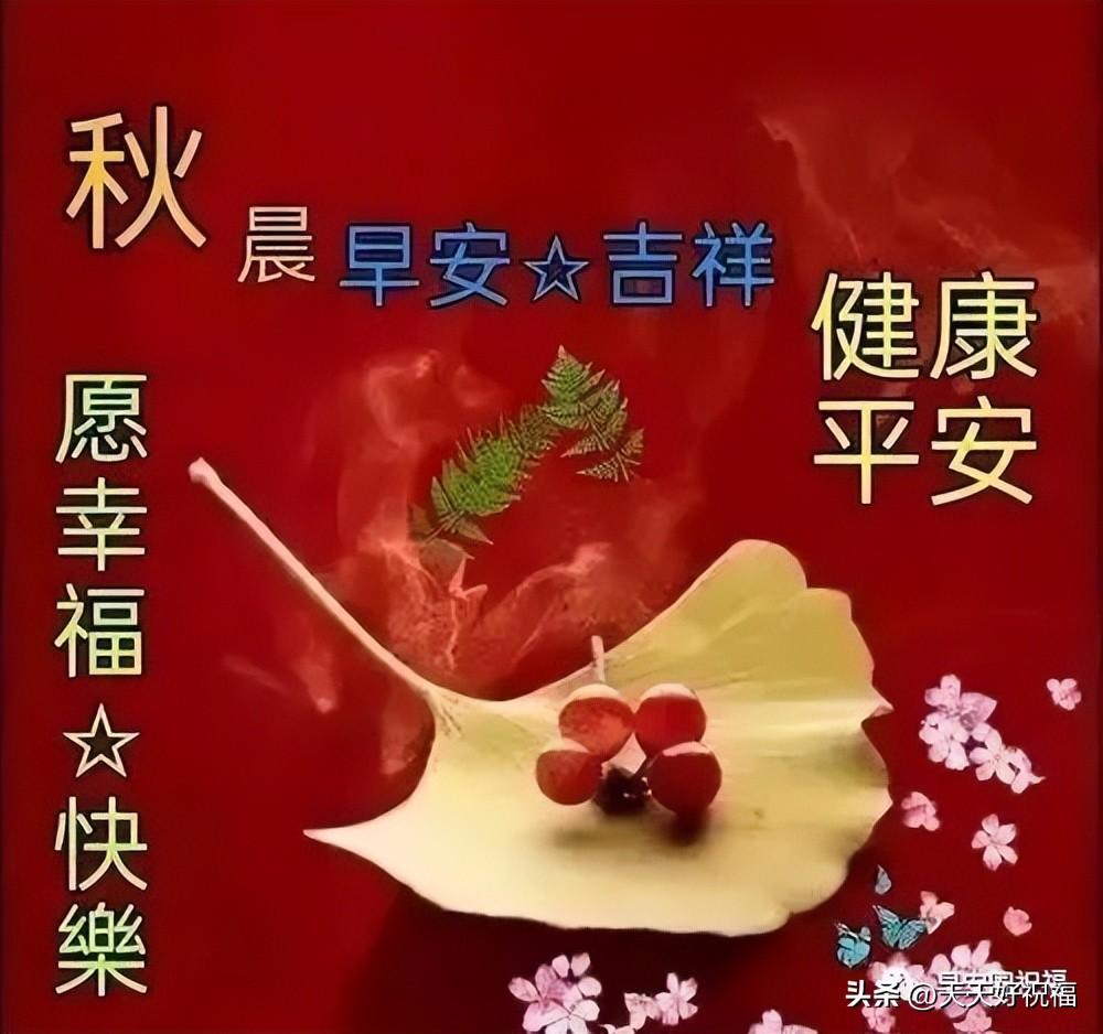 精选早安暖心祝福语创意唯美图片带字，微信早上好给亲友问候语录(图7)