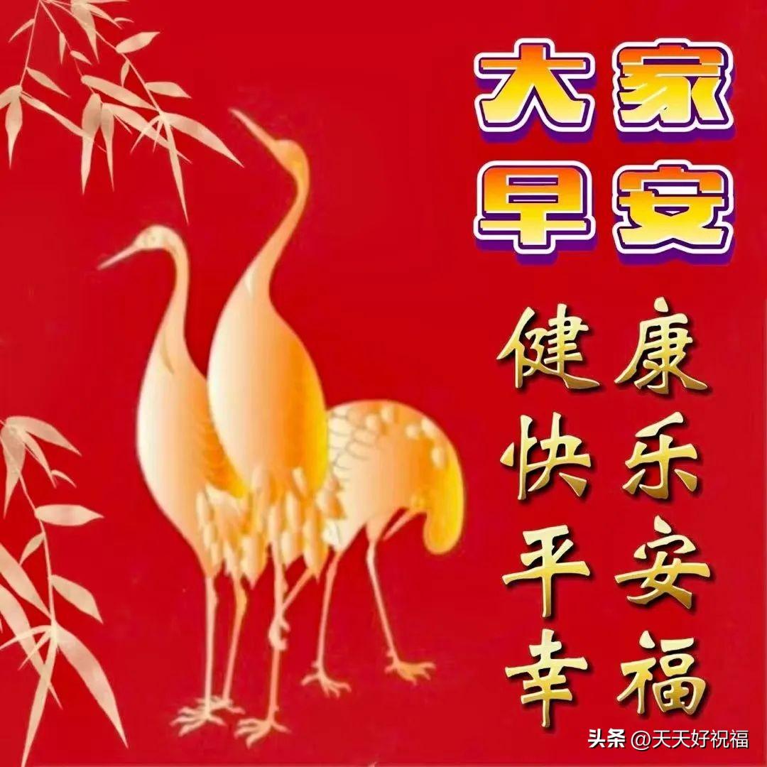 精选早安暖心祝福语创意唯美图片带字，微信早上好给亲友问候语录(图10)