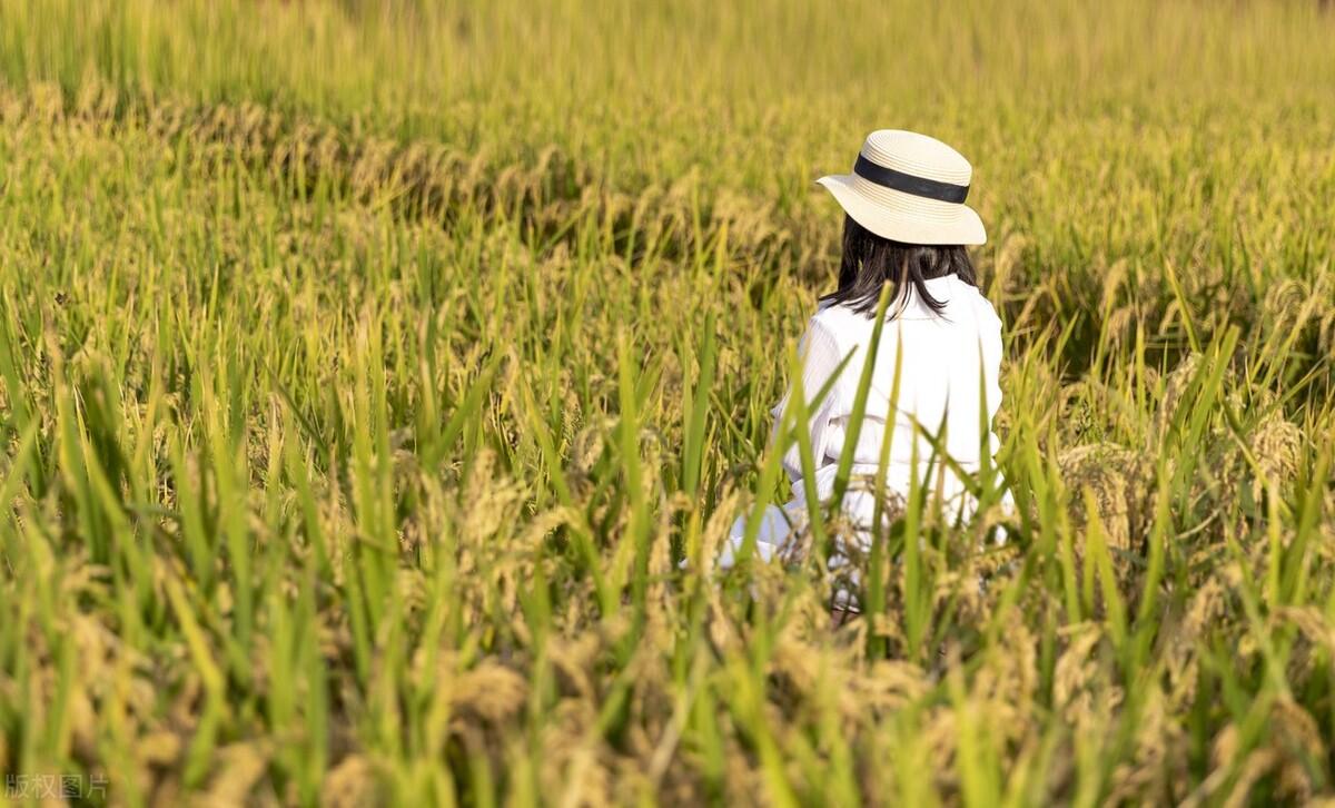 人类幼崽可爱到爆炸的文案(图2)