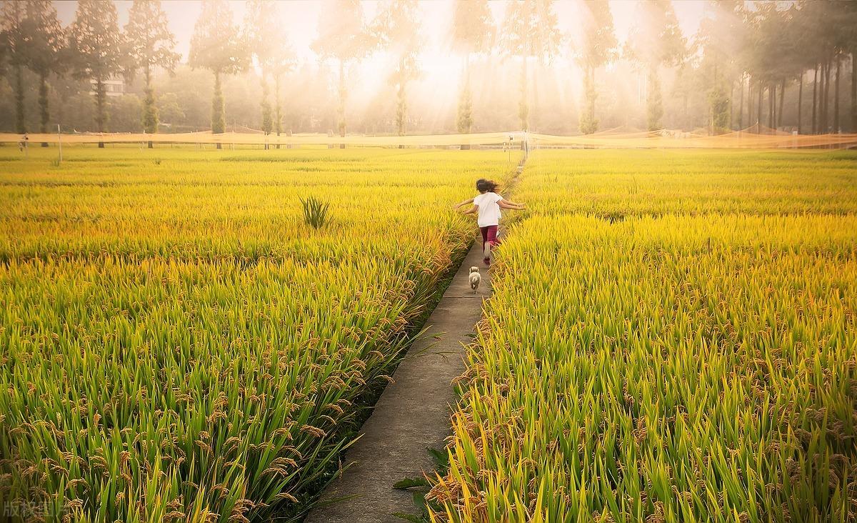 人类幼崽可爱到爆炸的文案(图3)