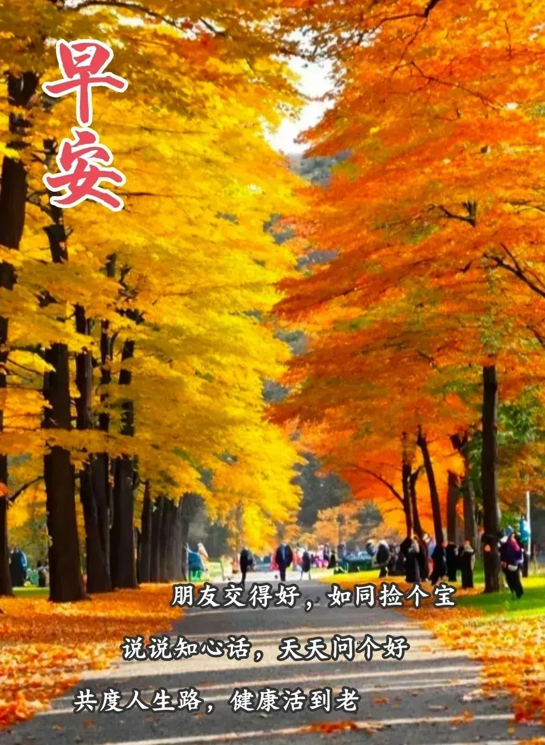 早安时光【相信自己我能行】(图11)