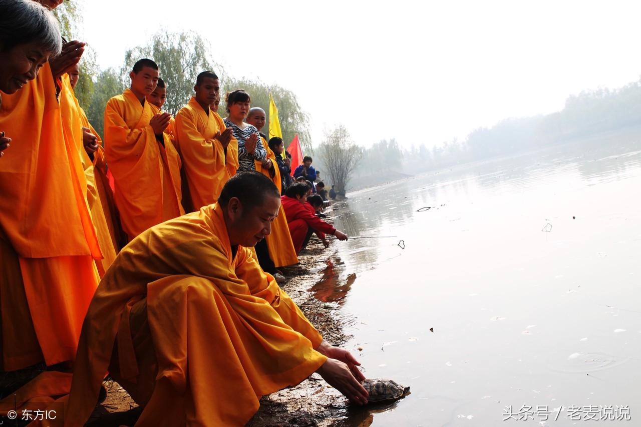 老麦说说:诸余罪中,杀罪最重;诸功德中,不杀第一,请正确放生(图1) 老麦说说:诸余罪中,杀罪最重;诸功德中,不杀第一,请正确放生(图1)