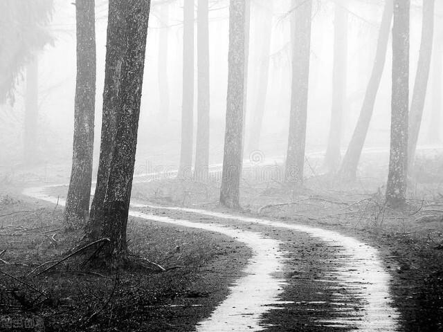 13句伤感句子，从失去你的那一刻开始，我的世界只剩黑色(图2)