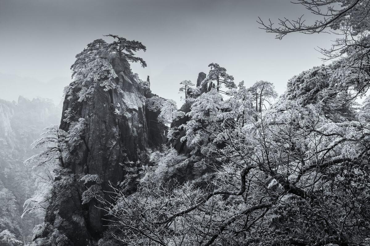 13句伤感句子，从失去你的那一刻开始，我的世界只剩黑色(图3)
