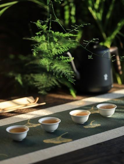 香港人从深圳回来，心态大变化，说说我对深圳的看法(图3)