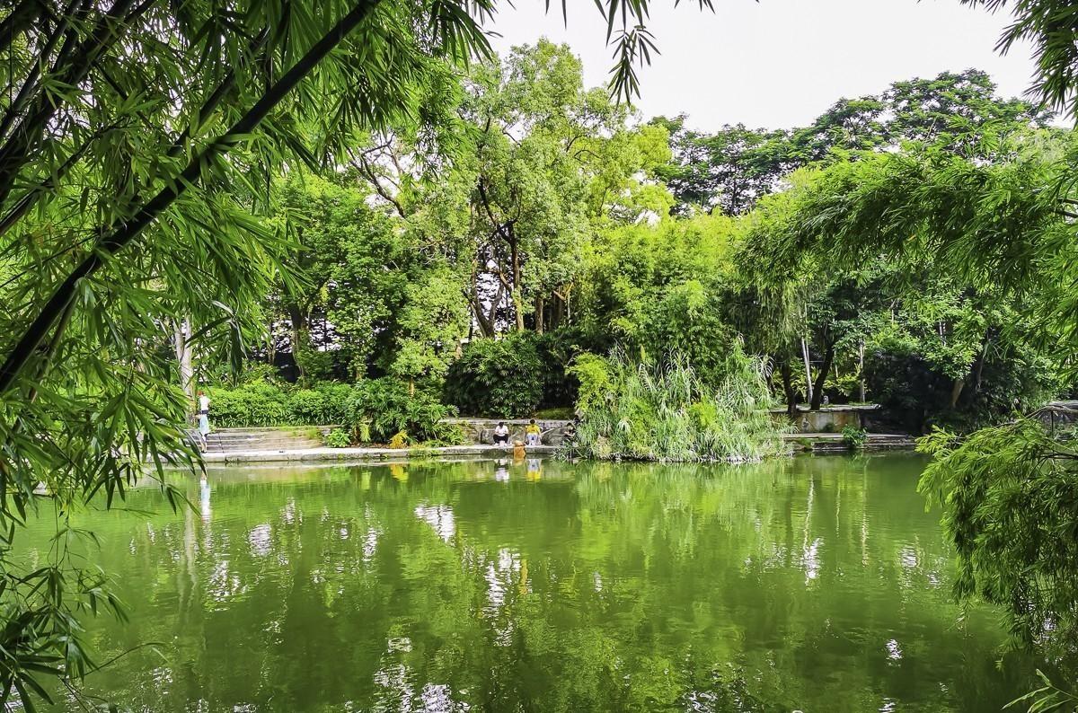 香港人从深圳回来，心态大变化，说说我对深圳的看法(图10)