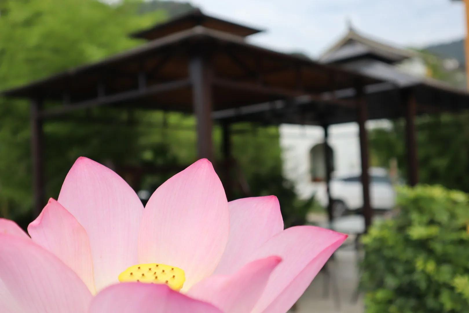 当你通透之后，一切从零开始(图4)