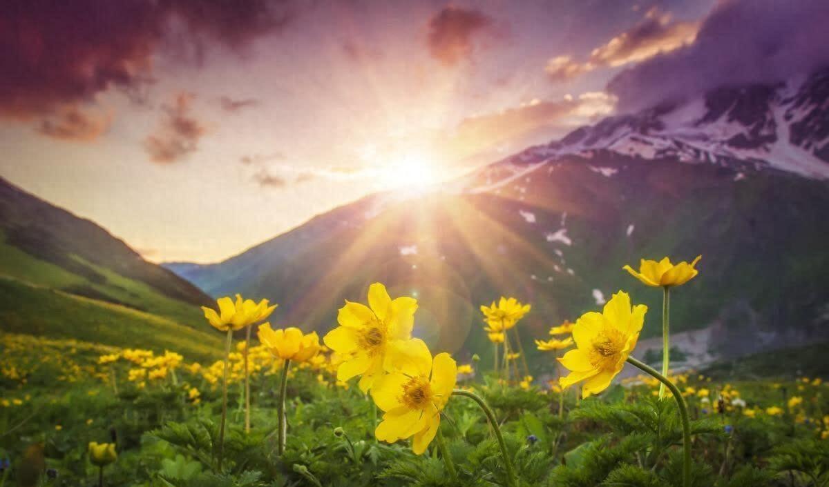 温柔了岁月的精美句子,令人百看不厌(图1)