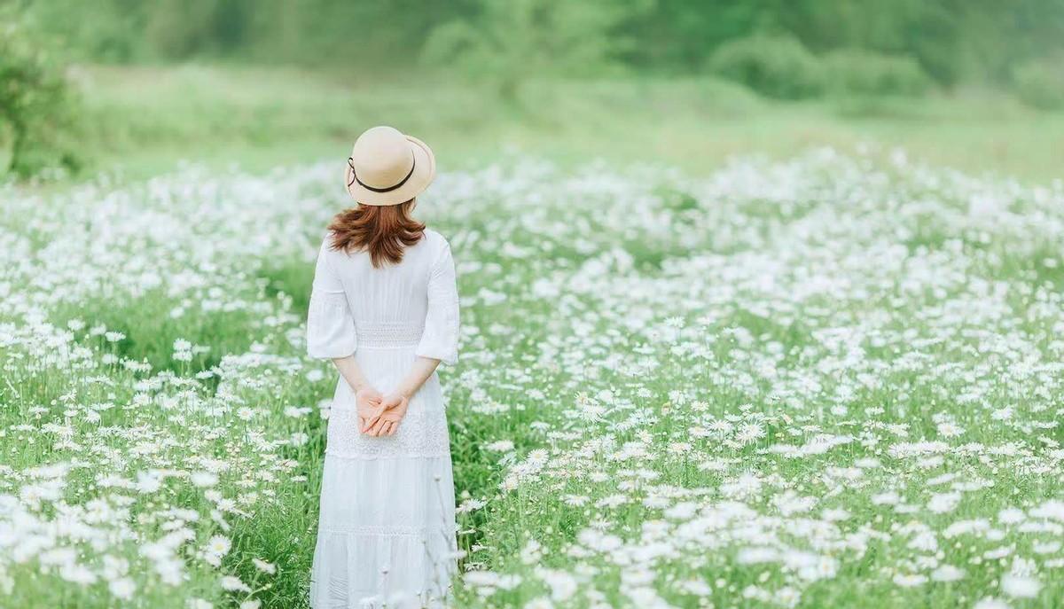 温柔了岁月的精美句子,令人百看不厌(图3)