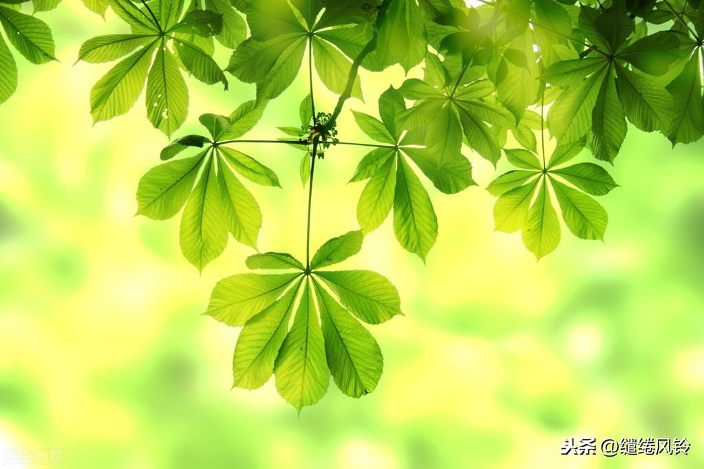 吕洞宾《劝世歌》：虽不足百字，却详细阐述了世间“善恶”之理(图5)