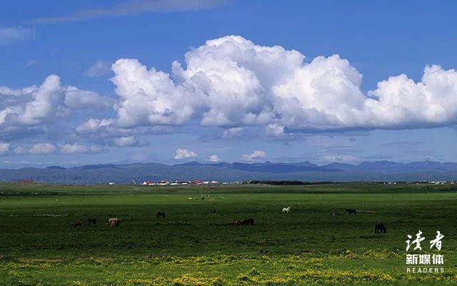 10条浪漫至极的句子，教你如何表达爱(图3)