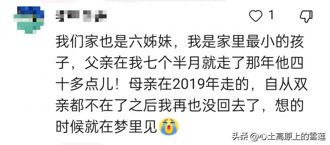 父母在,人生尚有来处,父母亡,人生只剩归途,你的一生有遗憾吗(图1) 父母在,人生尚有来处,父母亡,人生只剩归途,你的一生有遗憾吗(图1)