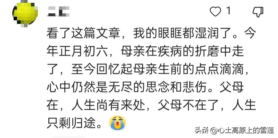 父母在,人生尚有来处,父母亡,人生只剩归途,你的一生有遗憾吗(图2) 父母在,人生尚有来处,父母亡,人生只剩归途,你的一生有遗憾吗(图2)