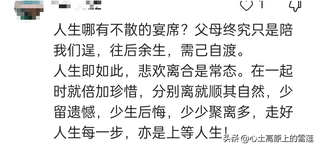 父母在,人生尚有来处,父母亡,人生只剩归途,你的一生有遗憾吗(图3) 父母在,人生尚有来处,父母亡,人生只剩归途,你的一生有遗憾吗(图3)