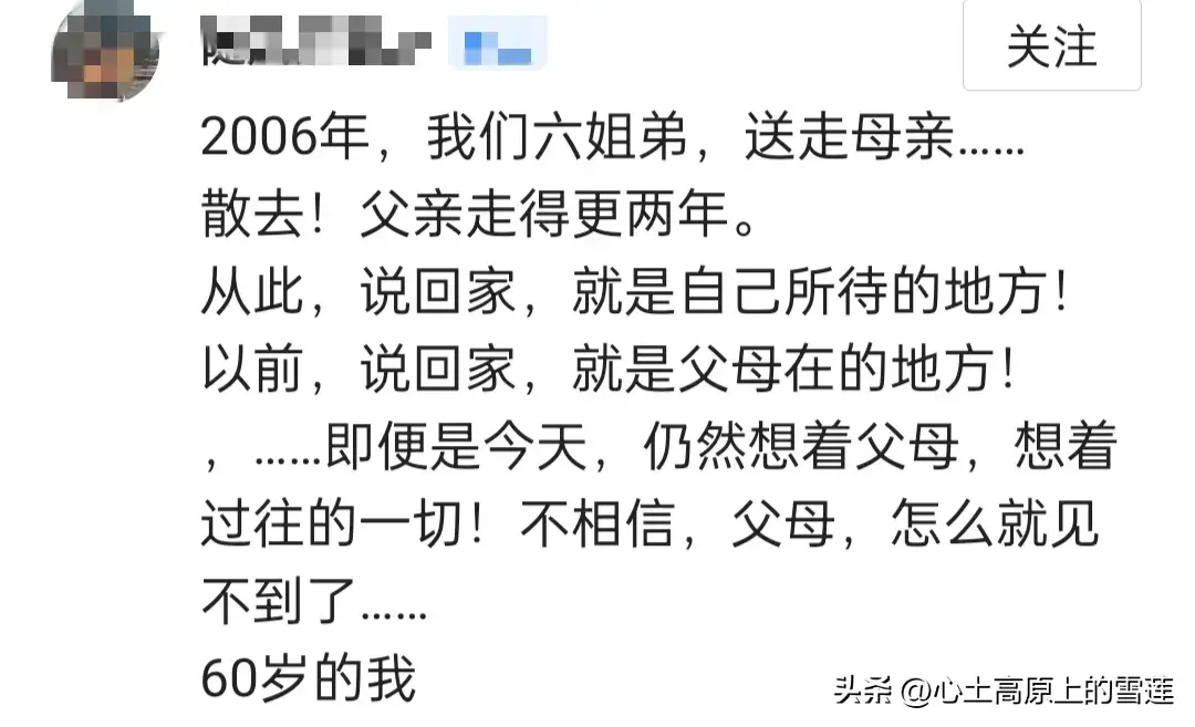 父母在,人生尚有来处,父母亡,人生只剩归途,你的一生有遗憾吗(图4) 父母在,人生尚有来处,父母亡,人生只剩归途,你的一生有遗憾吗(图4)