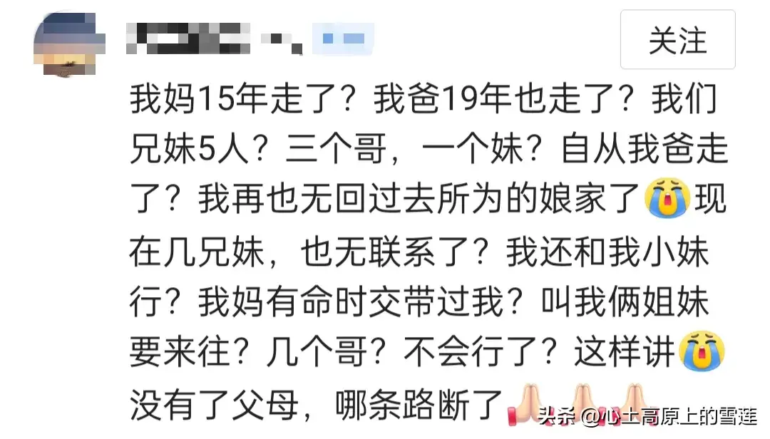 父母在,人生尚有来处,父母亡,人生只剩归途,你的一生有遗憾吗(图7) 父母在,人生尚有来处,父母亡,人生只剩归途,你的一生有遗憾吗(图7)