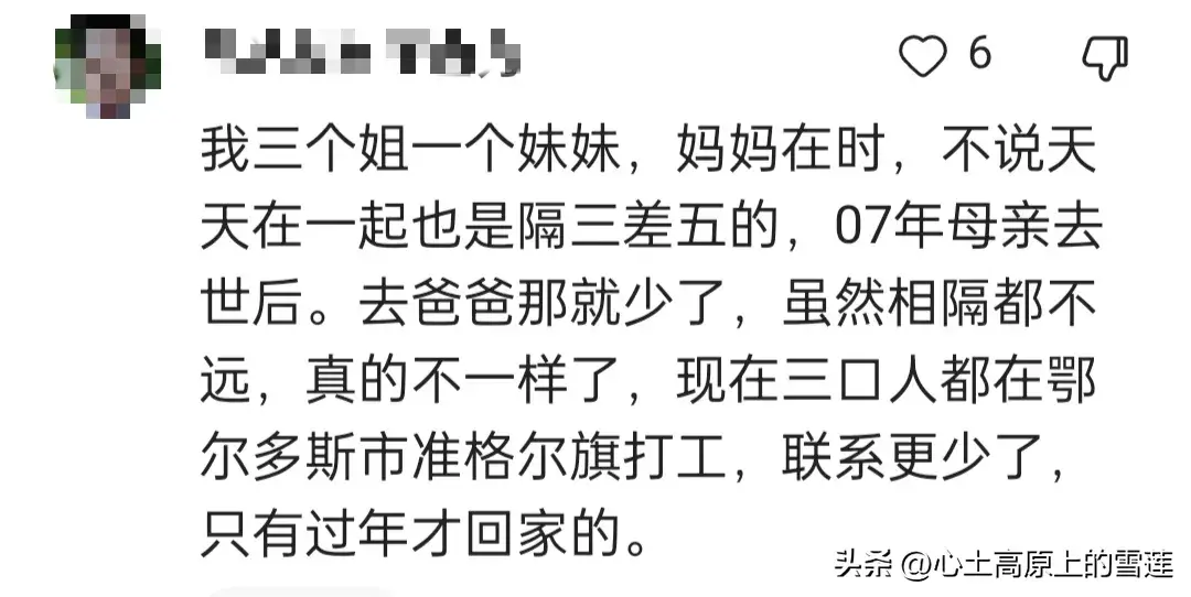 父母在,人生尚有来处,父母亡,人生只剩归途,你的一生有遗憾吗(图11) 父母在,人生尚有来处,父母亡,人生只剩归途,你的一生有遗憾吗(图11)
