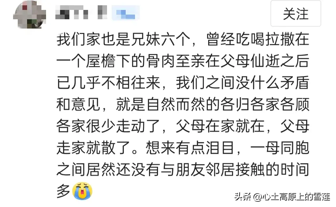 父母在,人生尚有来处,父母亡,人生只剩归途,你的一生有遗憾吗(图12) 父母在,人生尚有来处,父母亡,人生只剩归途,你的一生有遗憾吗(图12)