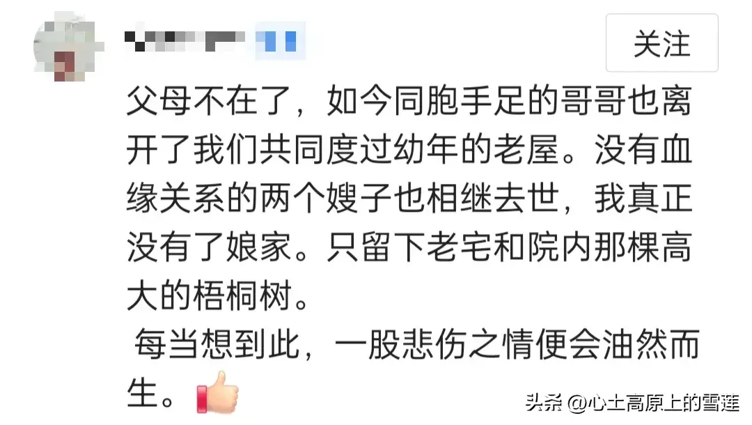 父母在，人生尚有来处，父母亡，人生只剩归途，你的一生有遗憾吗(图13)