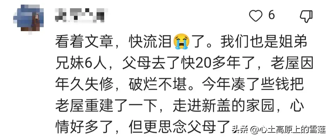 父母在，人生尚有来处，父母亡，人生只剩归途，你的一生有遗憾吗(图19)