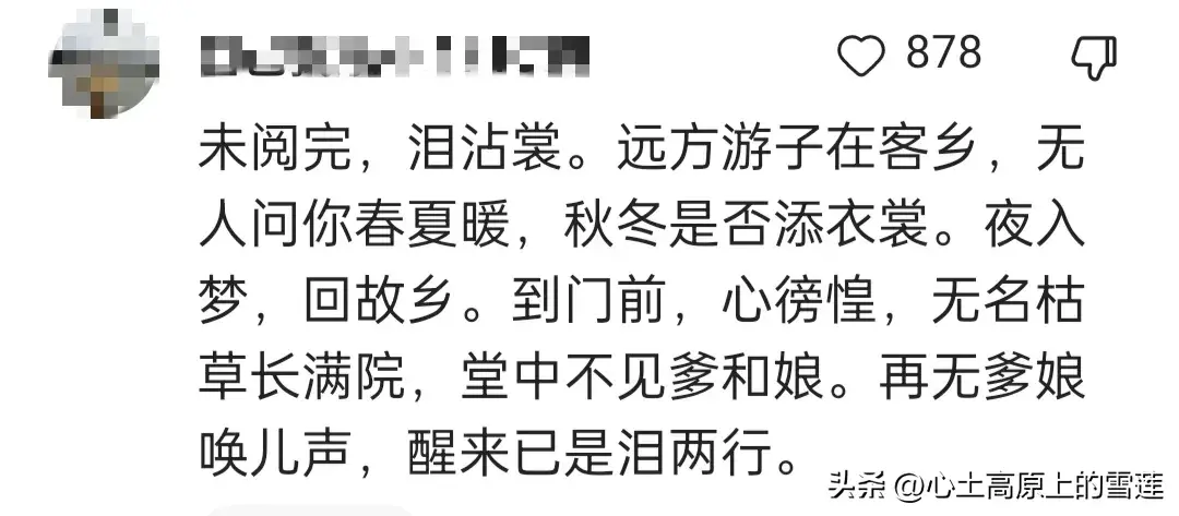父母在,人生尚有来处,父母亡,人生只剩归途,你的一生有遗憾吗(图24) 父母在,人生尚有来处,父母亡,人生只剩归途,你的一生有遗憾吗(图24)