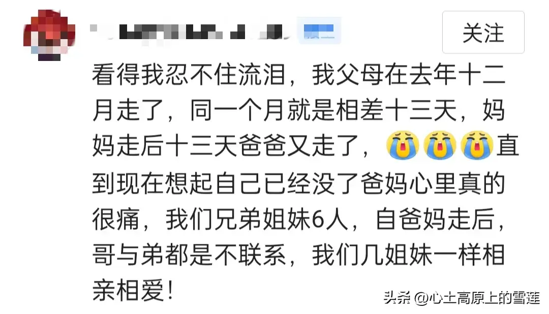 父母在，人生尚有来处，父母亡，人生只剩归途，你的一生有遗憾吗(图25)
