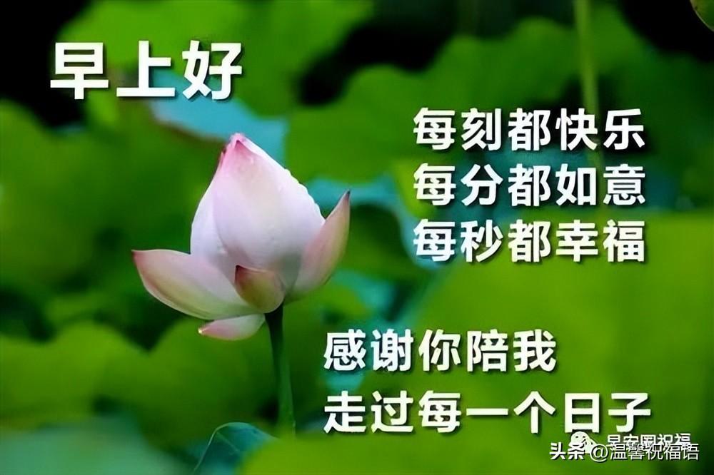 漂亮好看早安祝福语图片带字，早上好问候家人朋友的群发问候语录(图1)