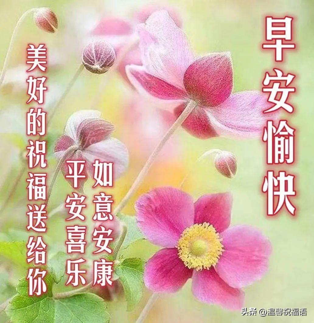 漂亮好看早安祝福语图片带字，早上好问候家人朋友的群发问候语录(图3)