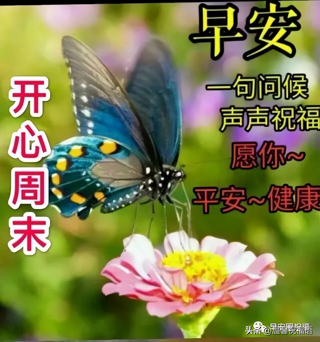漂亮好看早安祝福语图片带字，早上好问候家人朋友的群发问候语录(图5)