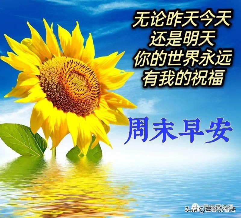 漂亮好看早安祝福语图片带字，早上好问候家人朋友的群发问候语录(图6)
