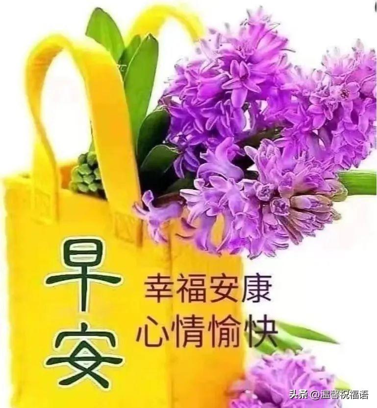 漂亮好看早安祝福语图片带字，早上好问候家人朋友的群发问候语录(图8)