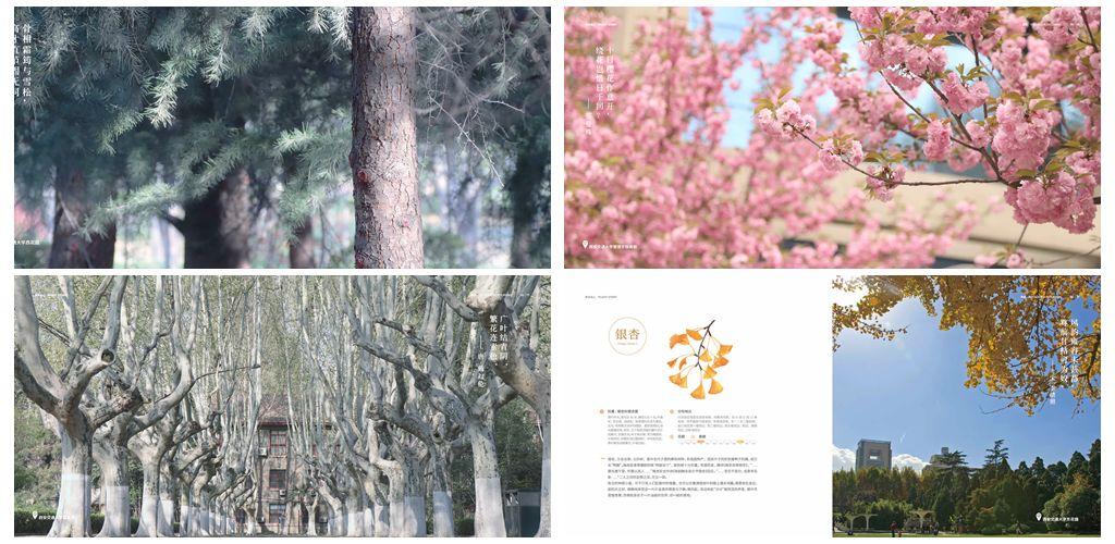 交大有礼啦～“交大情书”“网红月饼”等着你(图12)