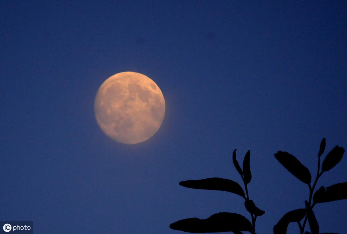 五仁月饼，不仅有果仁的香甜，还有苦涩的情怀(图4)