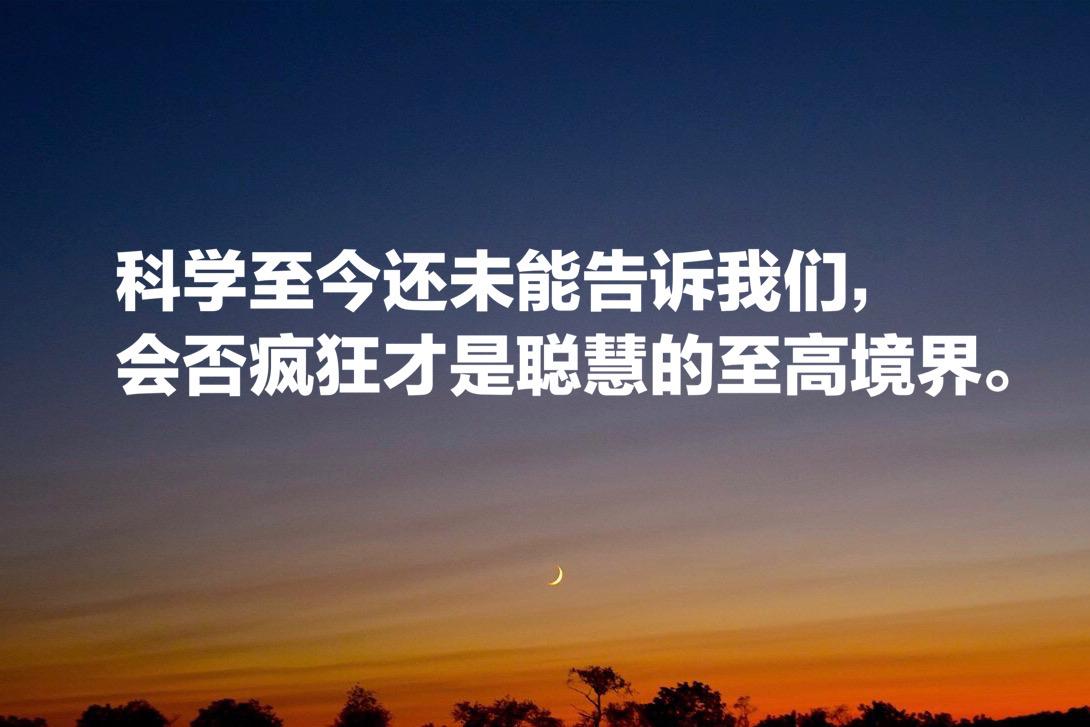 推理鼻祖爱伦·坡的小说世界，这10句至理格言，散发璀璨光芒(图4)