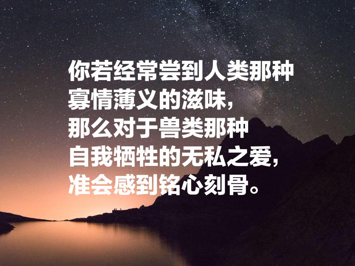 推理鼻祖爱伦·坡的小说世界，这10句至理格言，散发璀璨光芒(图8)