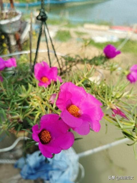 当你想通了，人生就顺了(图1)