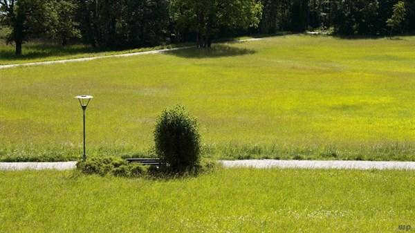 青春自信阳光的句子，句句精彩(图2)