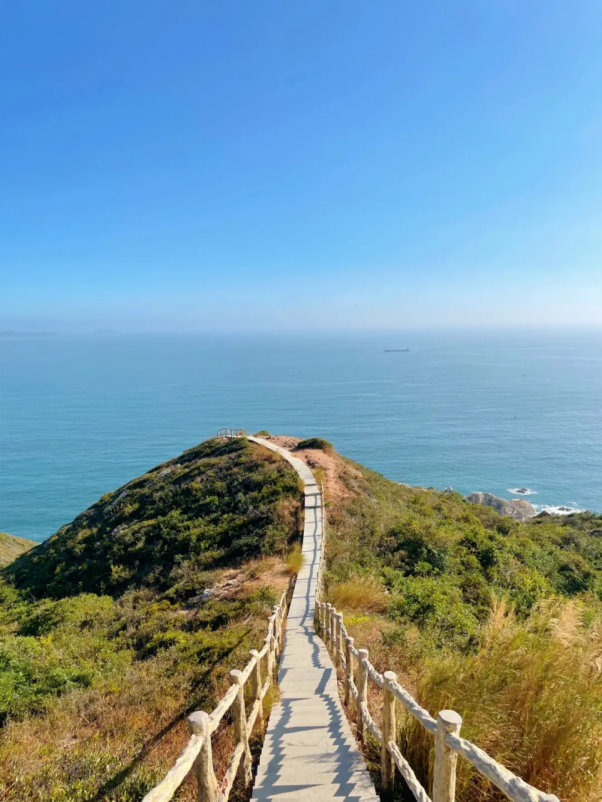 我从西安去深圳旅游回来,想说说这个城市的真相,你可能不信(图4) 我从西安去深圳旅游回来,想说说这个城市的真相,你可能不信(图4)