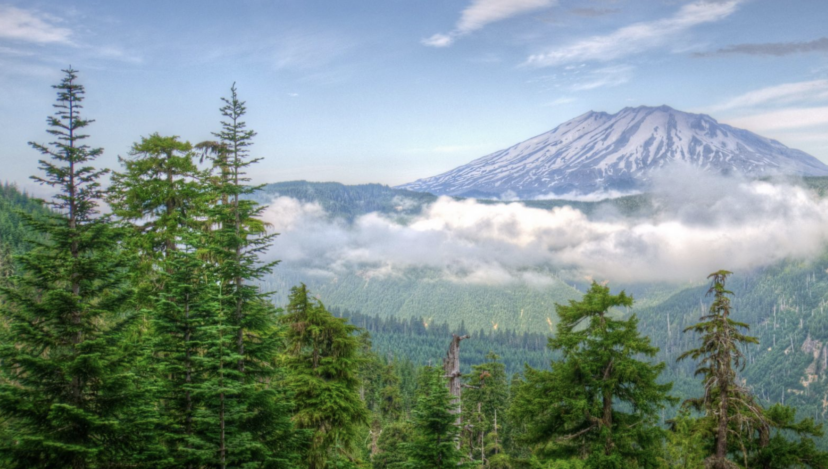 重塑自己，成就人生(图1)