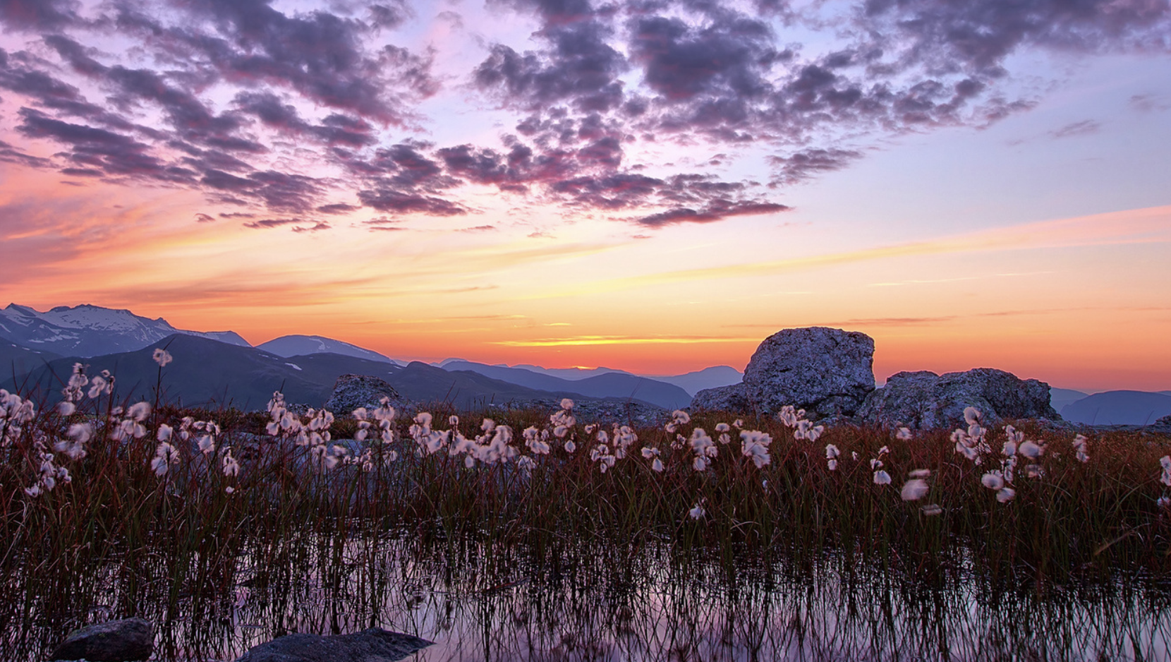 重塑自己，成就人生(图2)