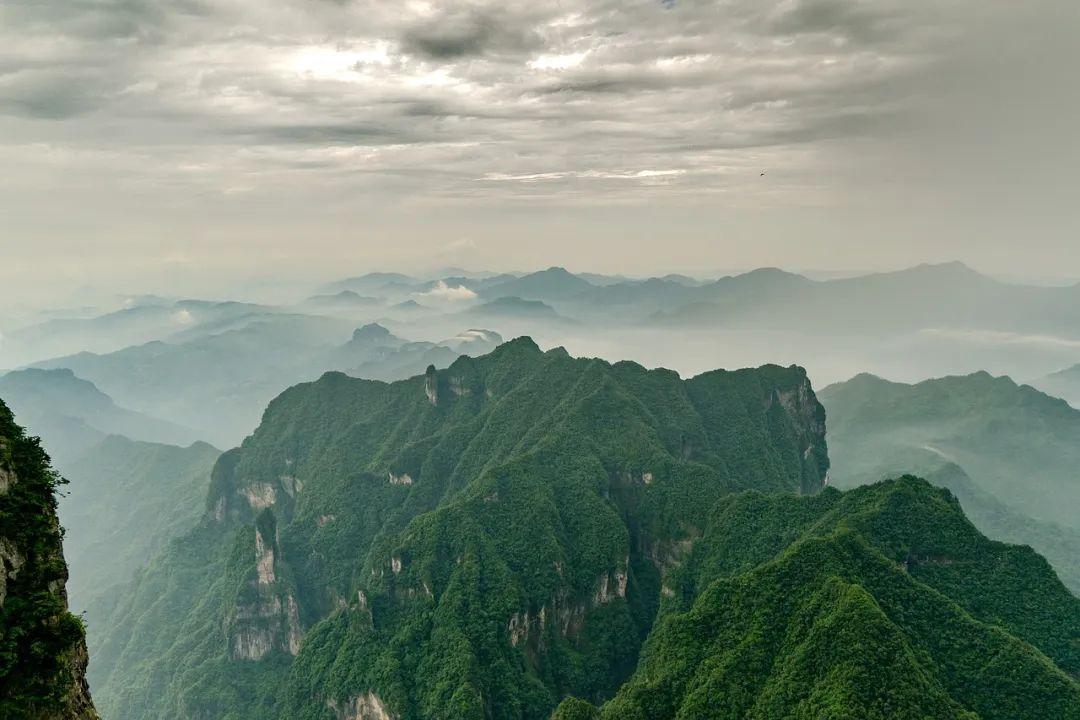 山间花海，烂漫如画！30句唯美描写让你陶醉其中(图3)