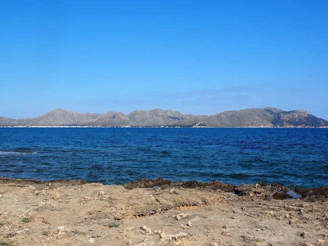 山间花海，烂漫如画！30句唯美描写让你陶醉其中(图4)