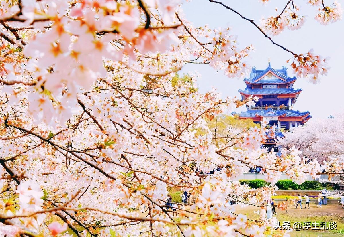 唯美春日赏花文案，发朋友圈很高级(图1)