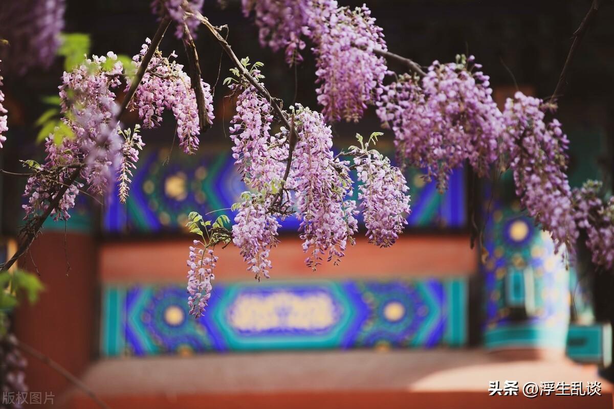 唯美春日赏花文案，发朋友圈很高级(图5)