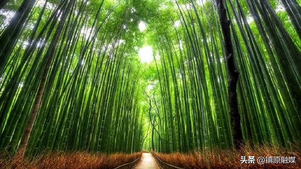 《菜根谭》处世箴言60句，发人深省！(图3)