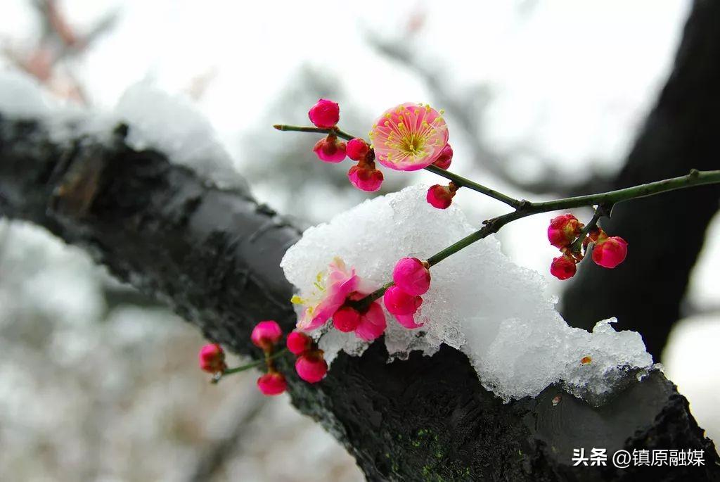 《菜根谭》处世箴言60句，发人深省！(图8)