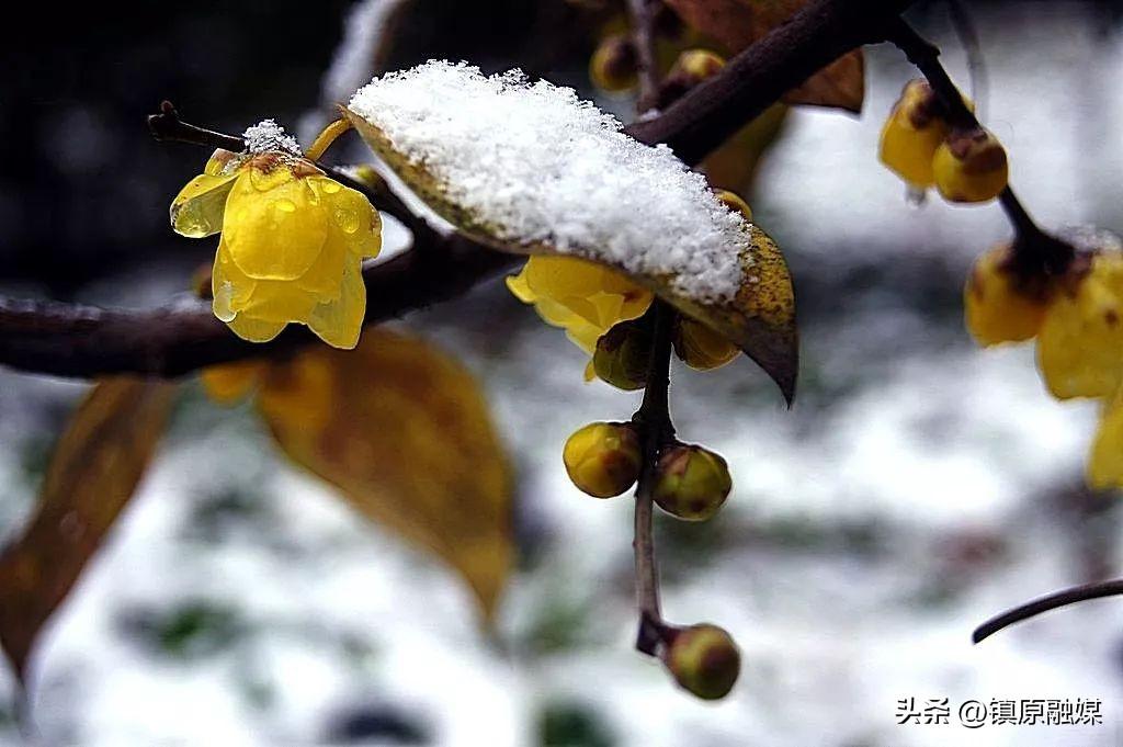 《菜根谭》处世箴言60句，发人深省！(图11)