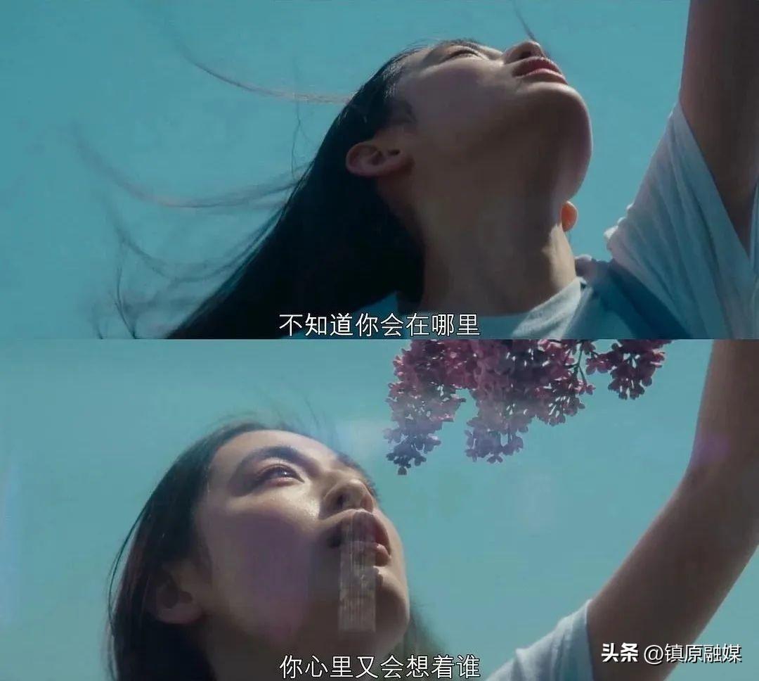 情人节：写给相爱，却无缘做夫妻的人(图7)