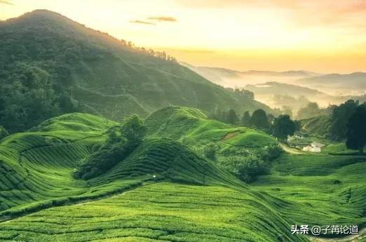 心地宽广，心有大爱，才能长养福德。(图2)